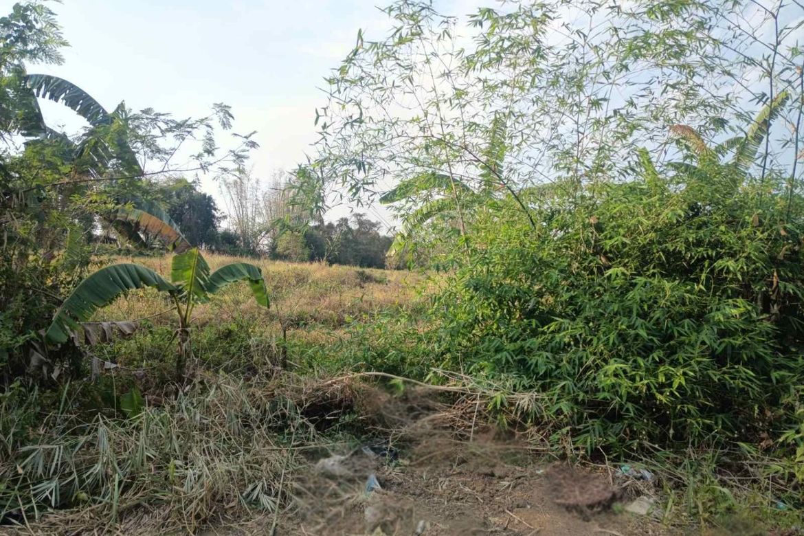 Land for Sale in Poblacion, Pandi, Bulacan