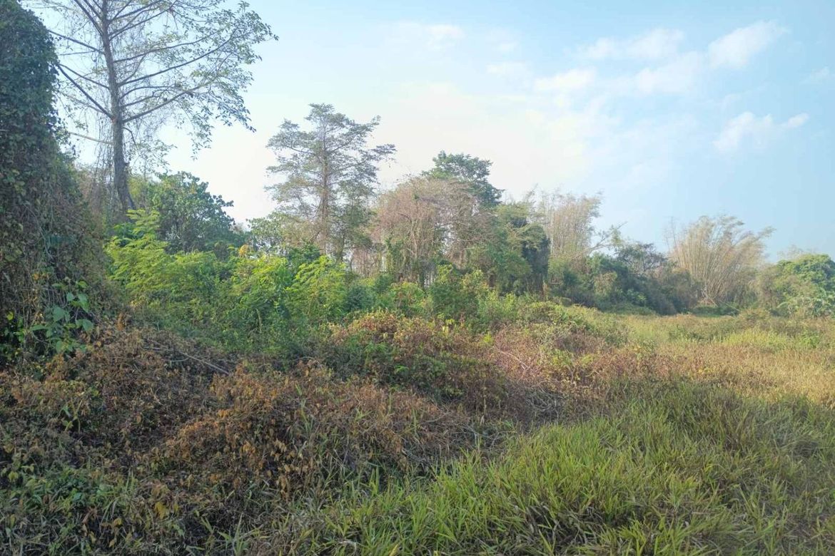 Land for Sale in Poblacion, Pandi, Bulacan – photo 3