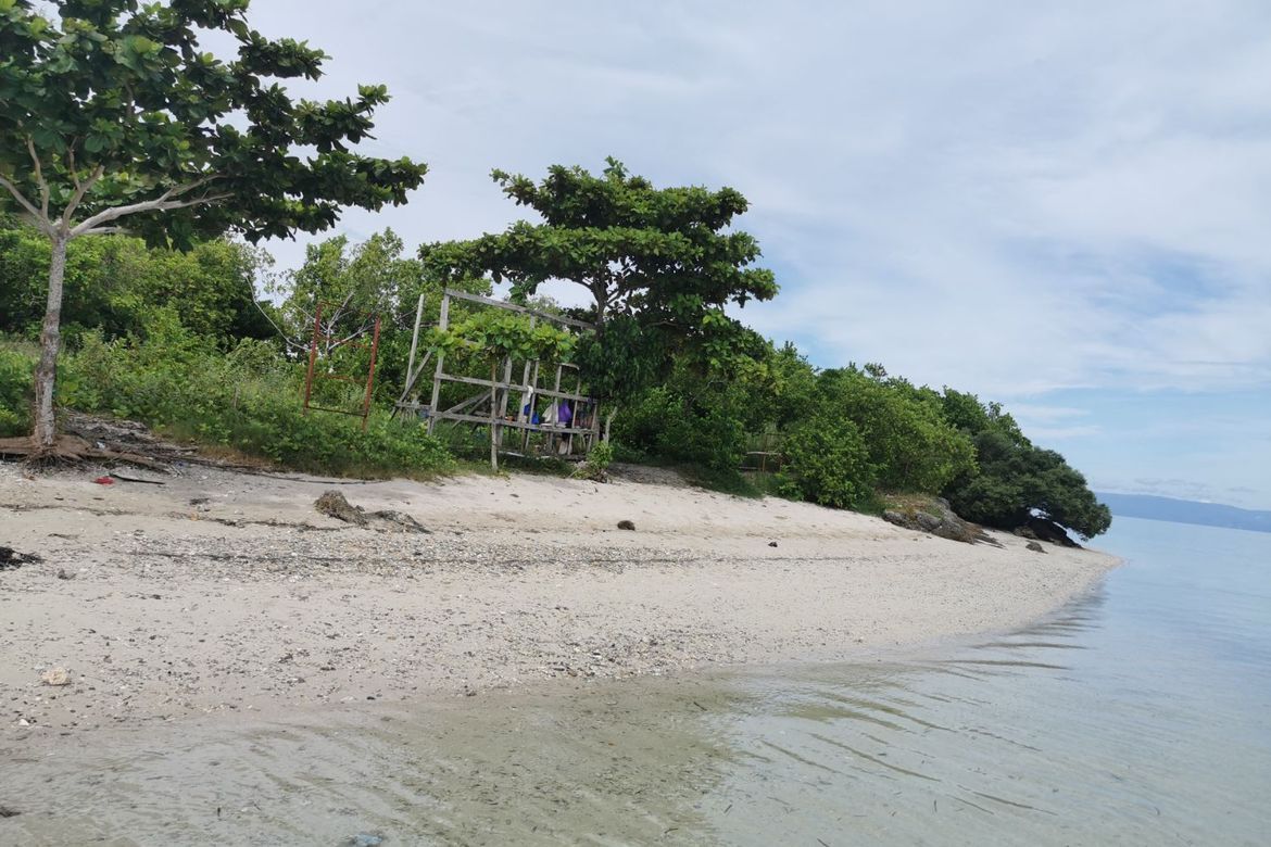 Land for Sale in Poblacion, Panglao, Bohol – photo 5