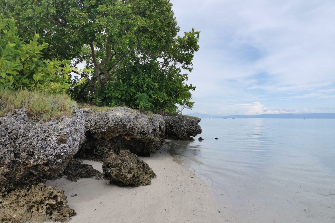 Land for Sale in Poblacion, Panglao, Bohol – photo 5