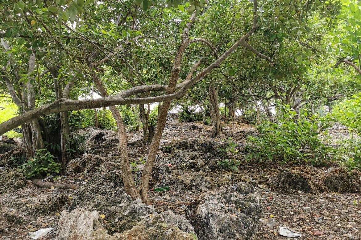 Land for Sale in Poblacion, Panglao, Bohol – photo 7
