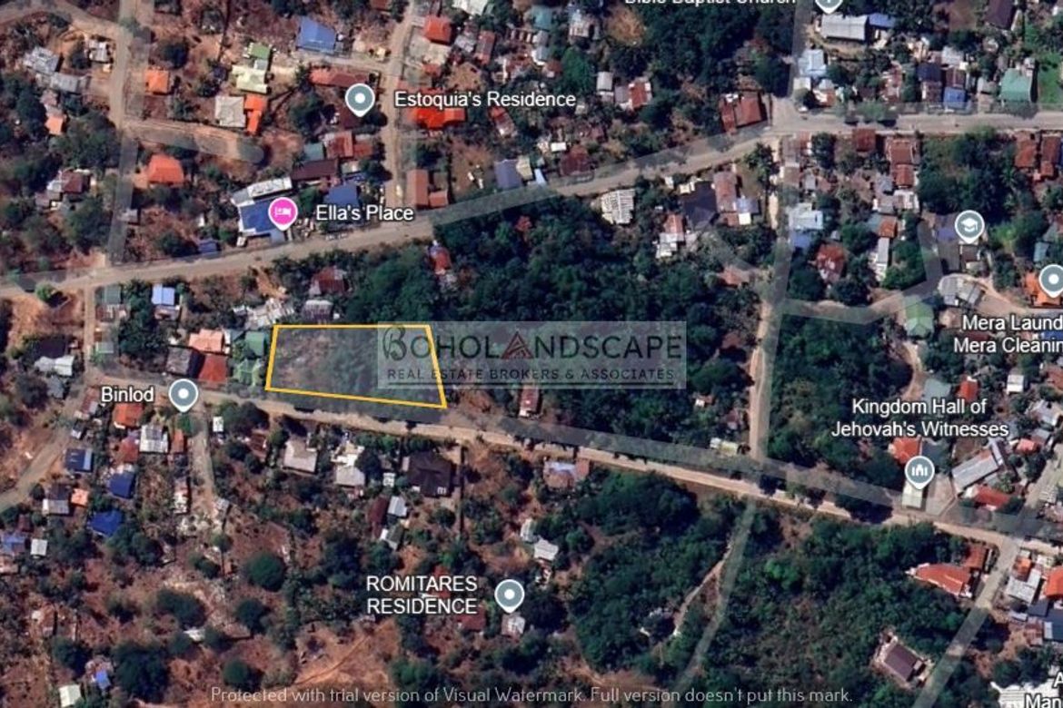 Land for Sale in Poblacion, Panglao, Bohol – photo 4