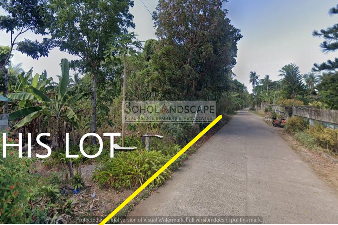 Land for Sale in Poblacion, Panglao, Bohol – photo 8