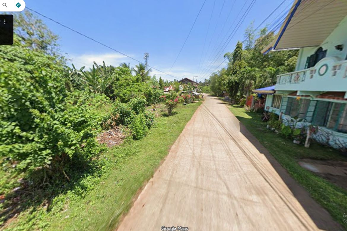 Land for Sale in Poblacion, Panglao, Bohol