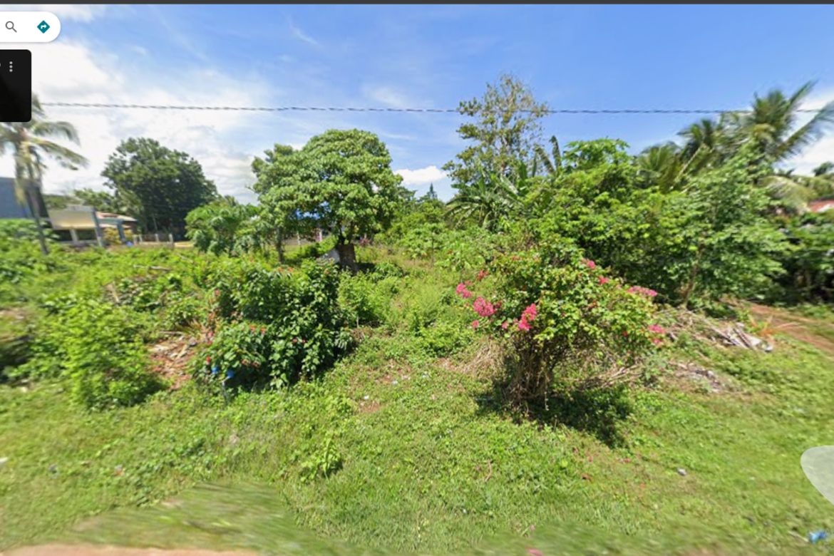 Land for Sale in Poblacion, Panglao, Bohol – photo 2