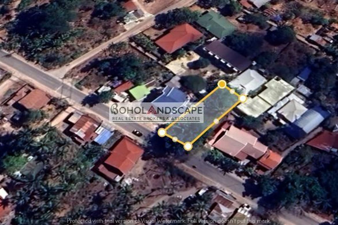 Land for Sale in Poblacion, Panglao, Bohol – photo 2