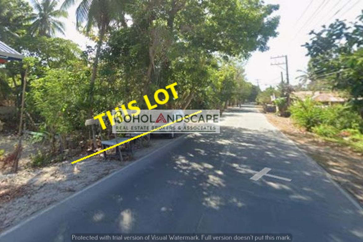 Land for Sale in Poblacion, Panglao, Bohol – photo 3
