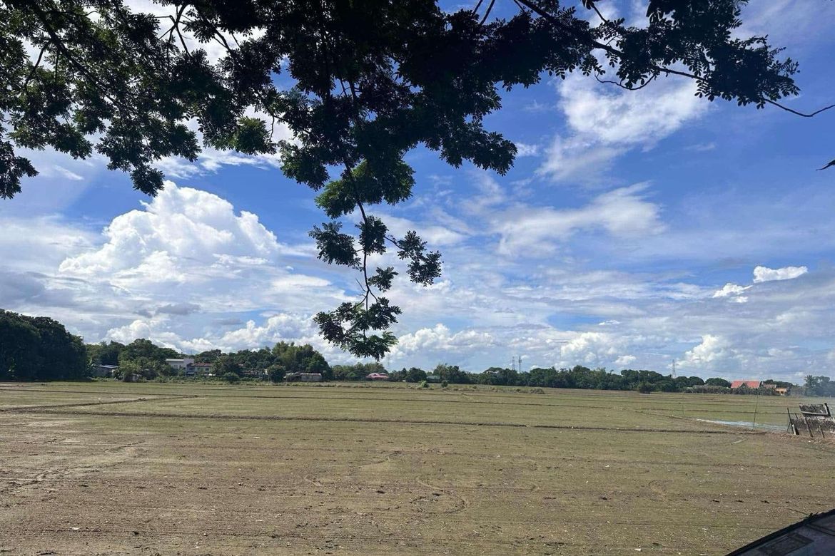 Land for Sale in Poblacion, Pulilan, Bulacan – photo 3