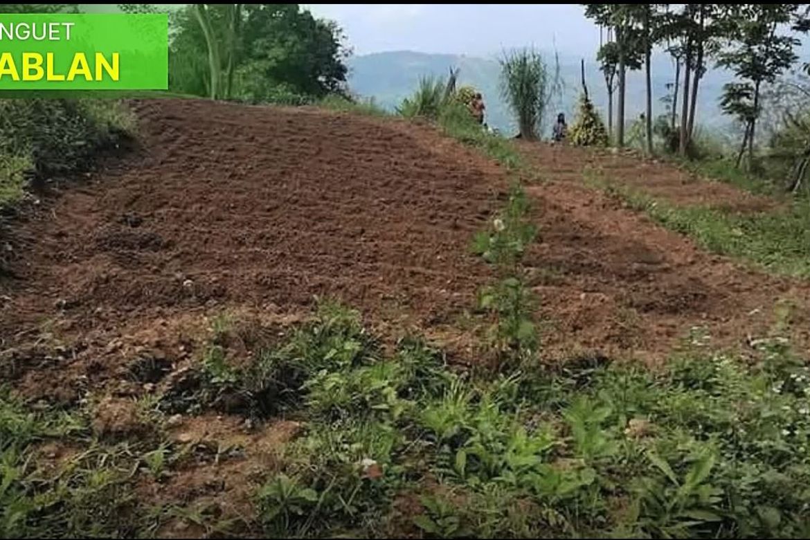 Land for Sale in Poblacion, Sablan, Benguet