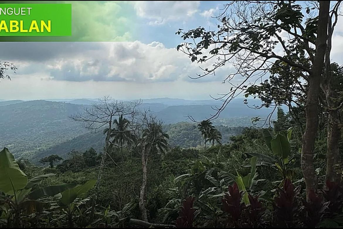 Land for Sale in Poblacion, Sablan, Benguet – photo 6