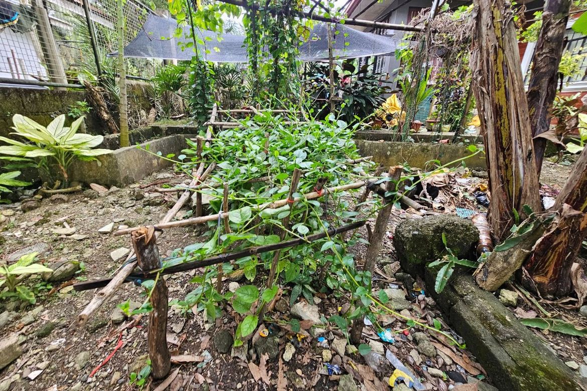 Land for Sale in Poblacion, Sagbayan, Bohol – photo 8