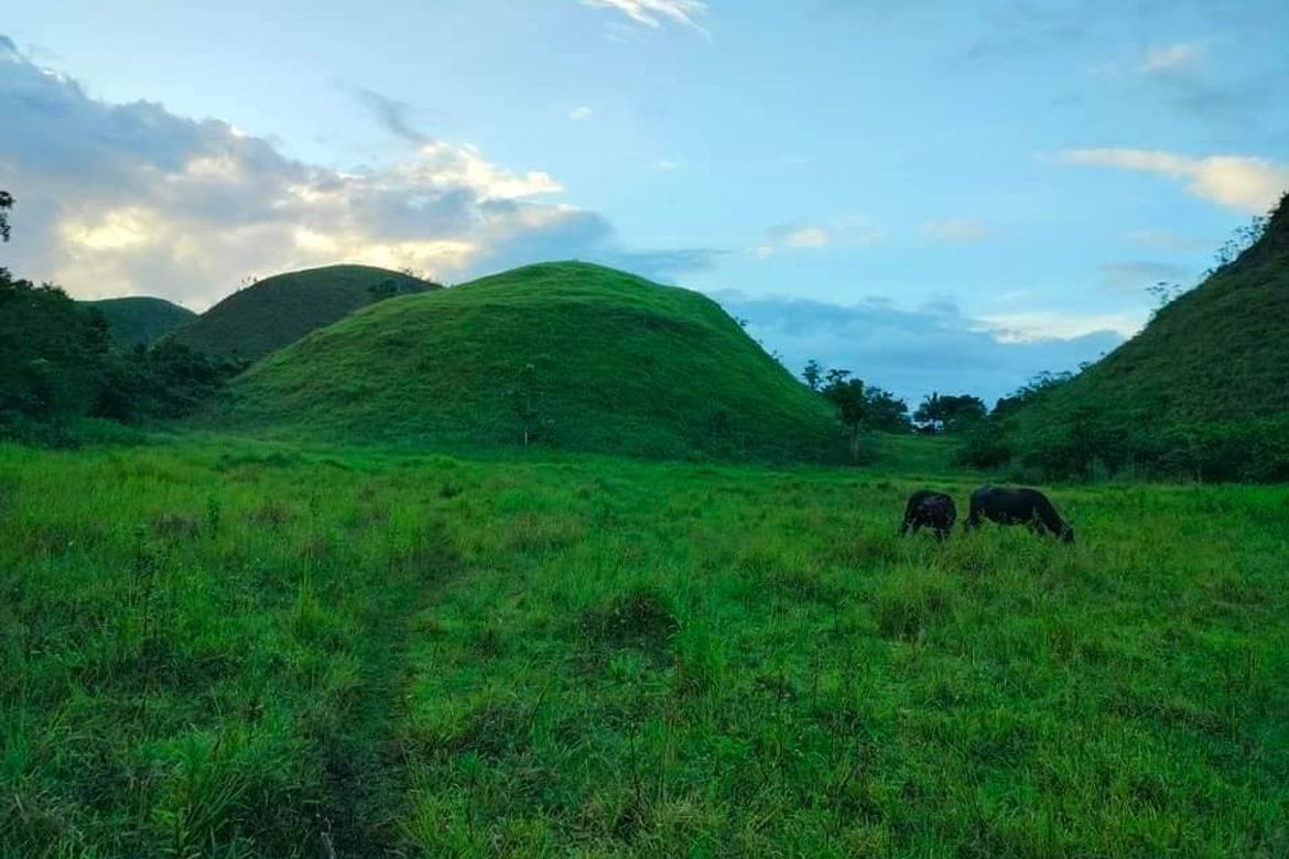 Land for Sale in Poblacion, Sagbayan, Bohol – photo 3