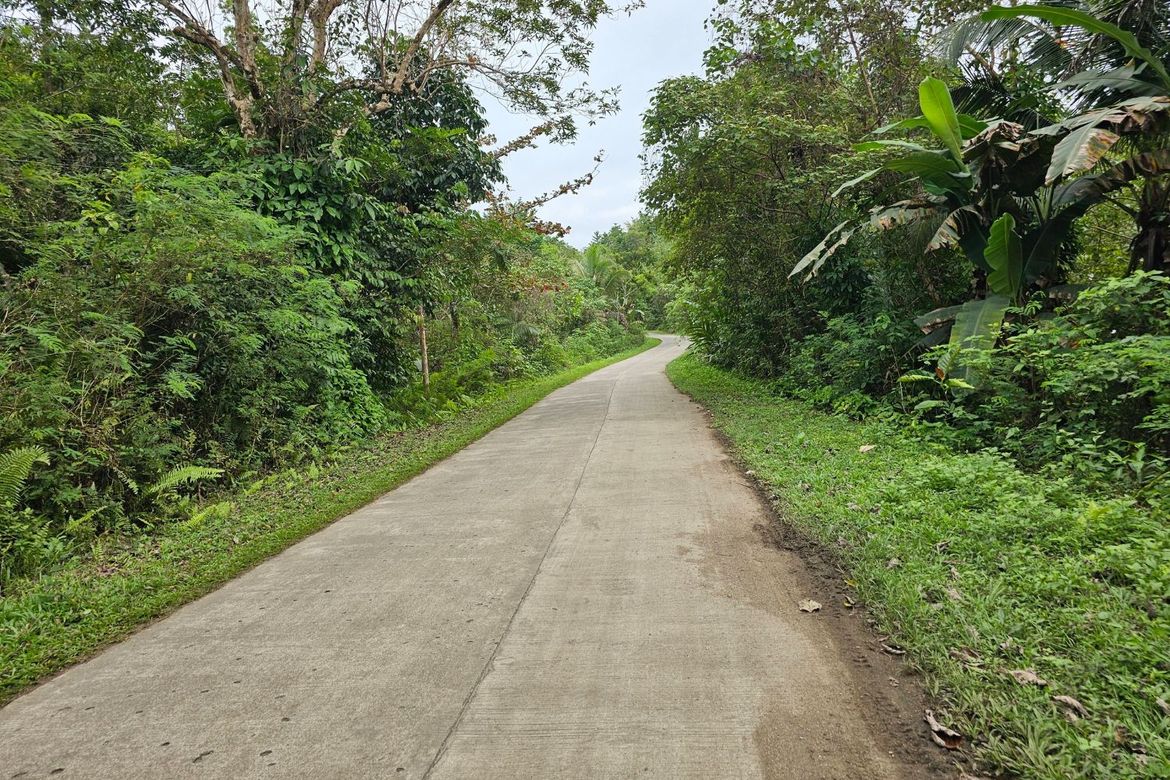 Land for Sale in Poblacion, Sagbayan, Bohol – photo 2