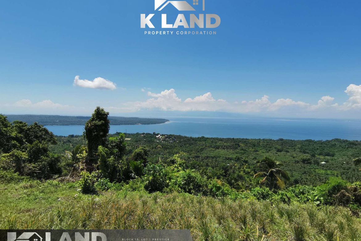 Land for Sale in Poblacion, Samal, Davao del Norte – photo 2