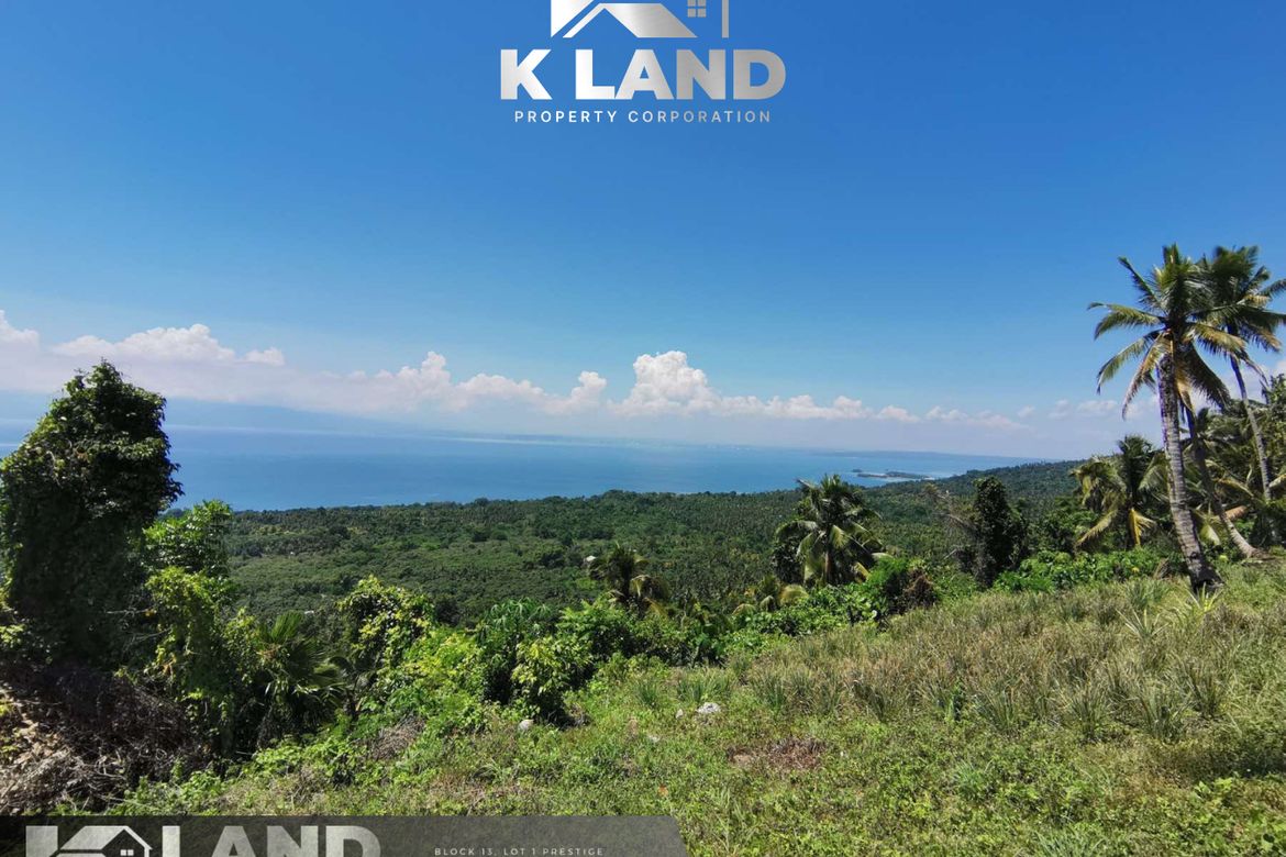Land for Sale in Poblacion, Samal, Davao del Norte – photo 4