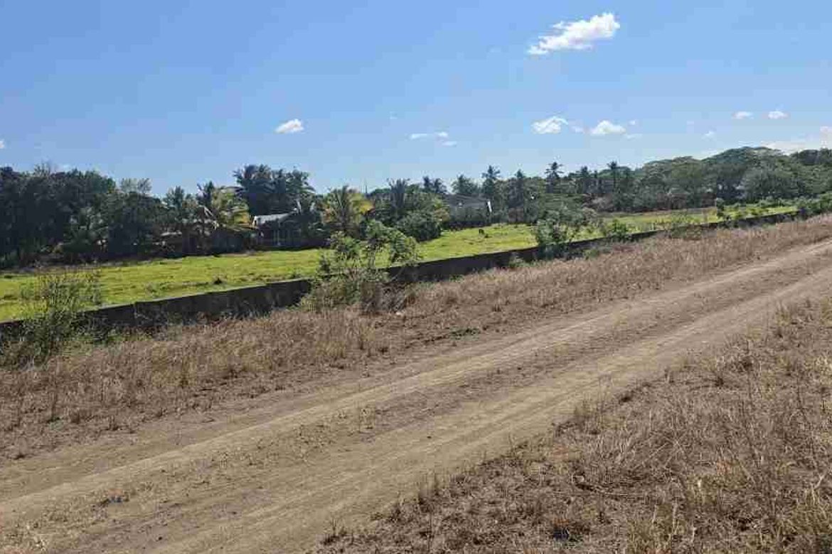 Land for Sale in Poblacion, San Antonio, Quezon