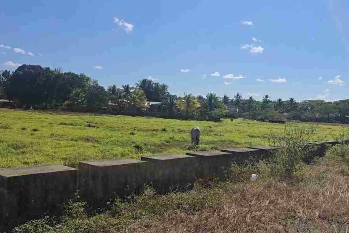 Land for Sale in Poblacion, San Antonio, Quezon – photo 3