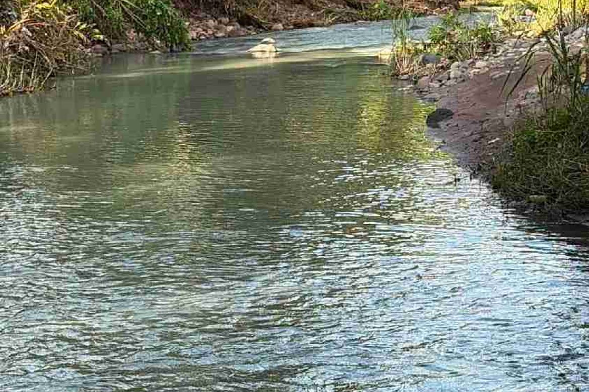 Land for Sale in Poblacion, San Antonio, Quezon