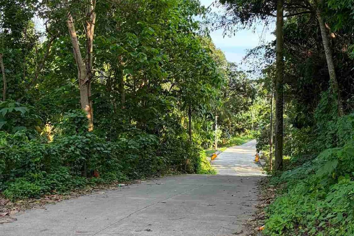 Land for Sale in Poblacion, San Antonio, Quezon – photo 2