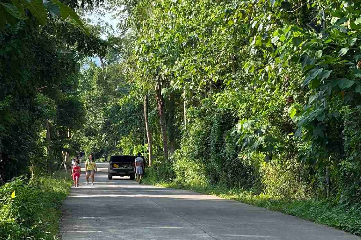 Land for Sale in Poblacion, San Antonio, Quezon – photo 3