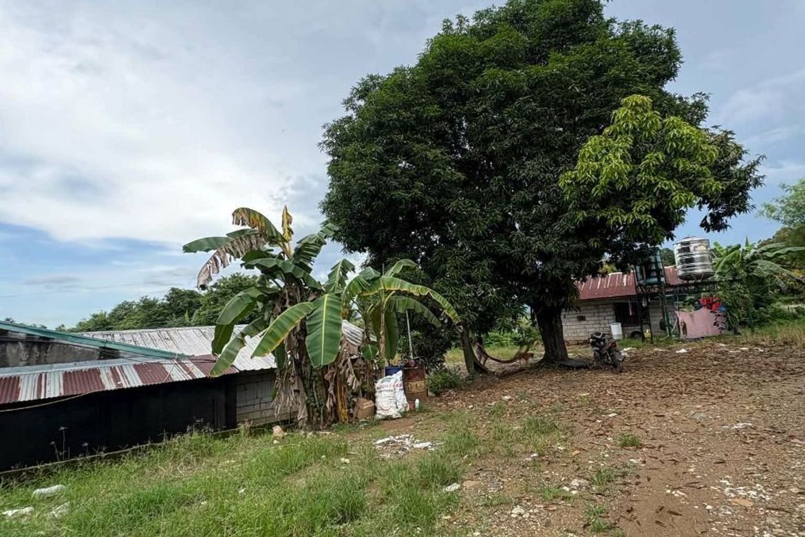 Land for Sale in Poblacion, San Ildefonso, Bulacan – photo 2
