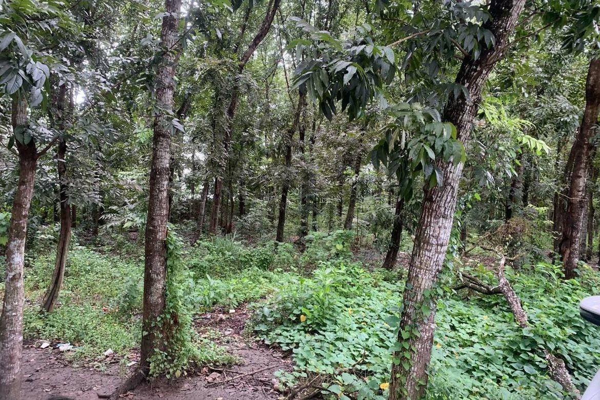 Land for Sale in Poblacion, San Ildefonso, Bulacan – photo 4