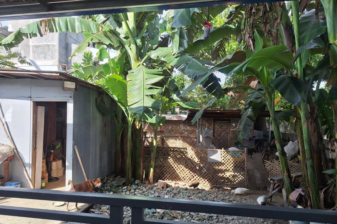 Land for Sale in Poblacion, San Isidro, Nueva Ecija – photo 7
