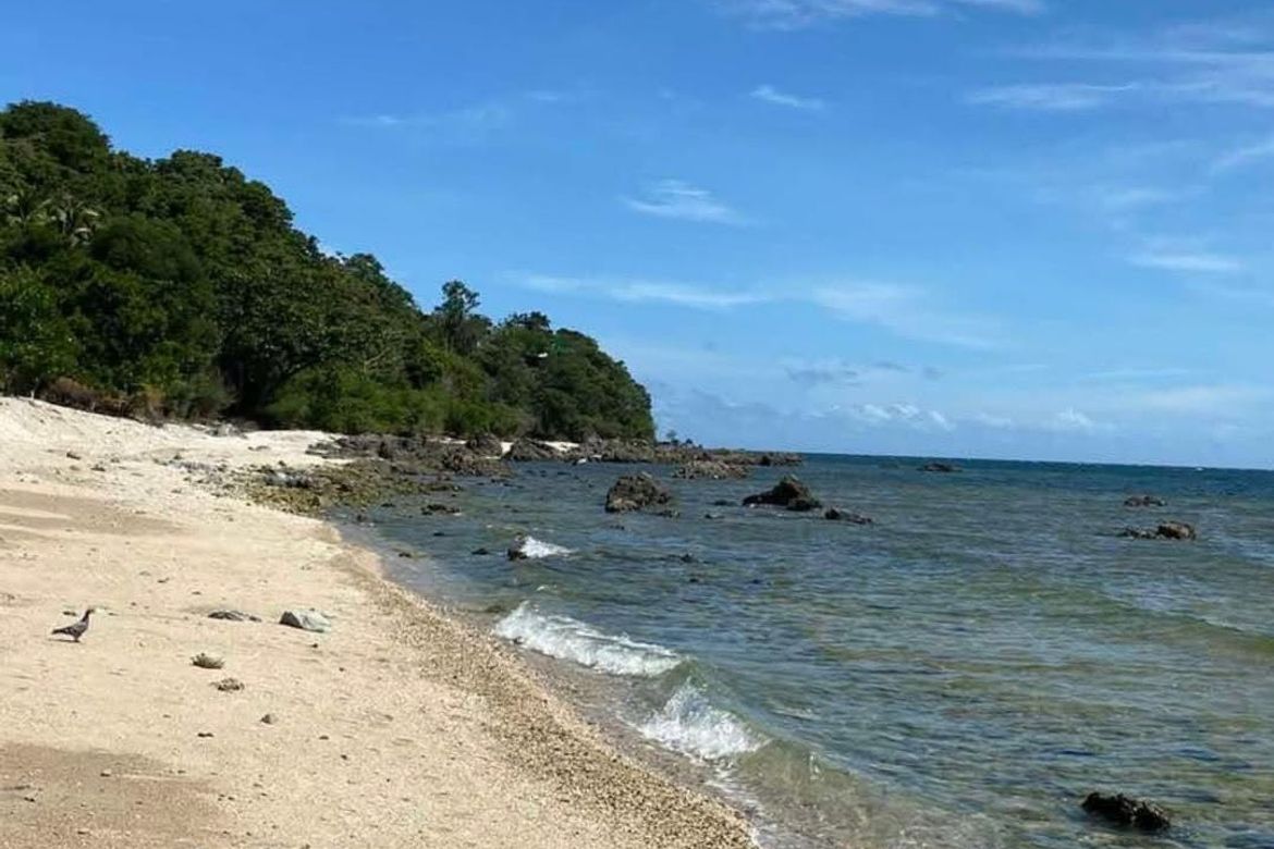 Land for Sale in Poblacion, San Juan, Batangas – photo 3