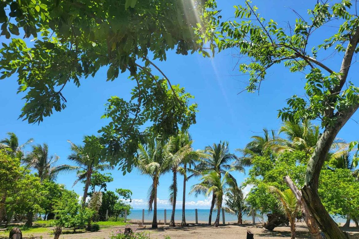 Land for Sale in Poblacion, San Juan, Batangas