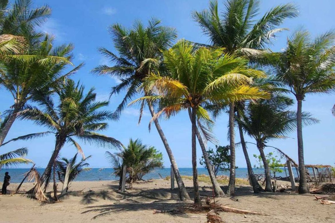 Land for Sale in Poblacion, San Juan, Batangas – photo 3