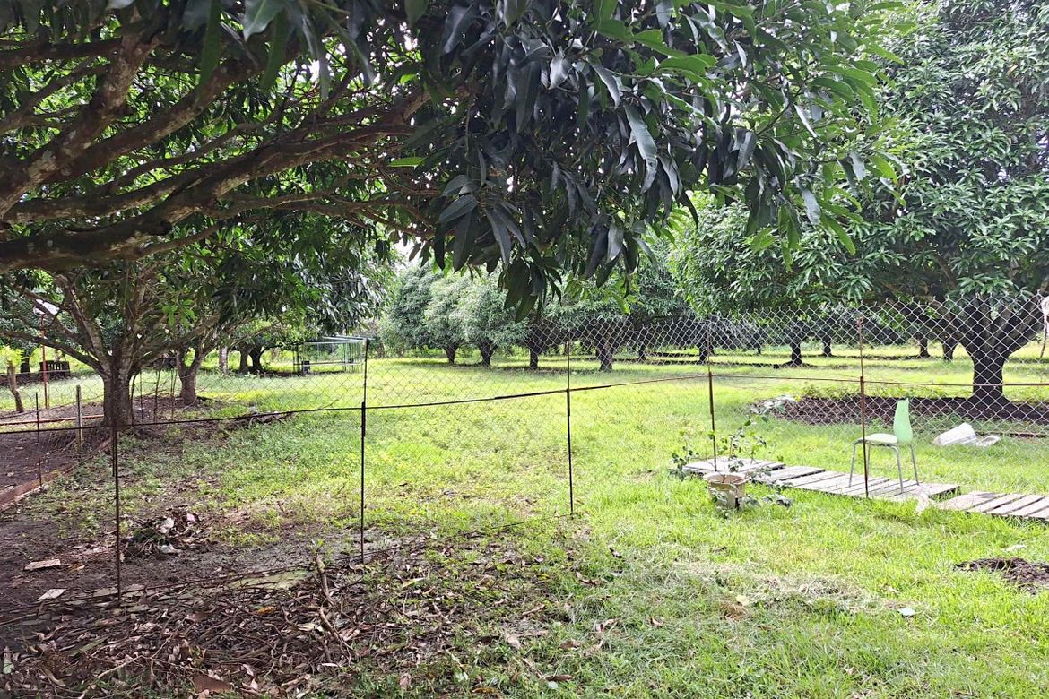 Land for Sale in Poblacion, San Juan, Batangas