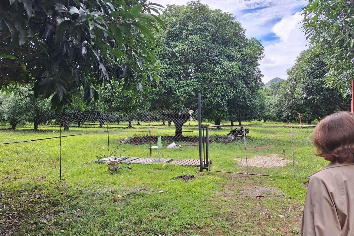Land for Sale in Poblacion, San Juan, Batangas – photo 2