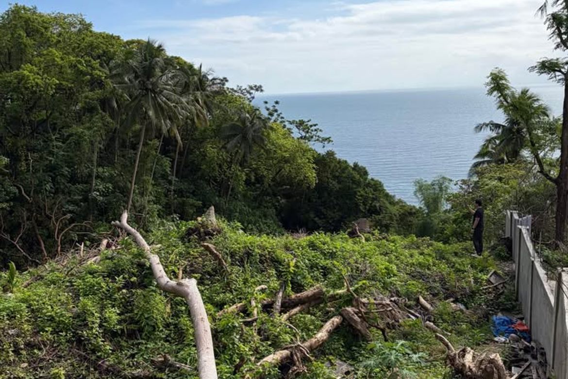 Land for Sale in Poblacion, San Juan, Batangas – photo 6
