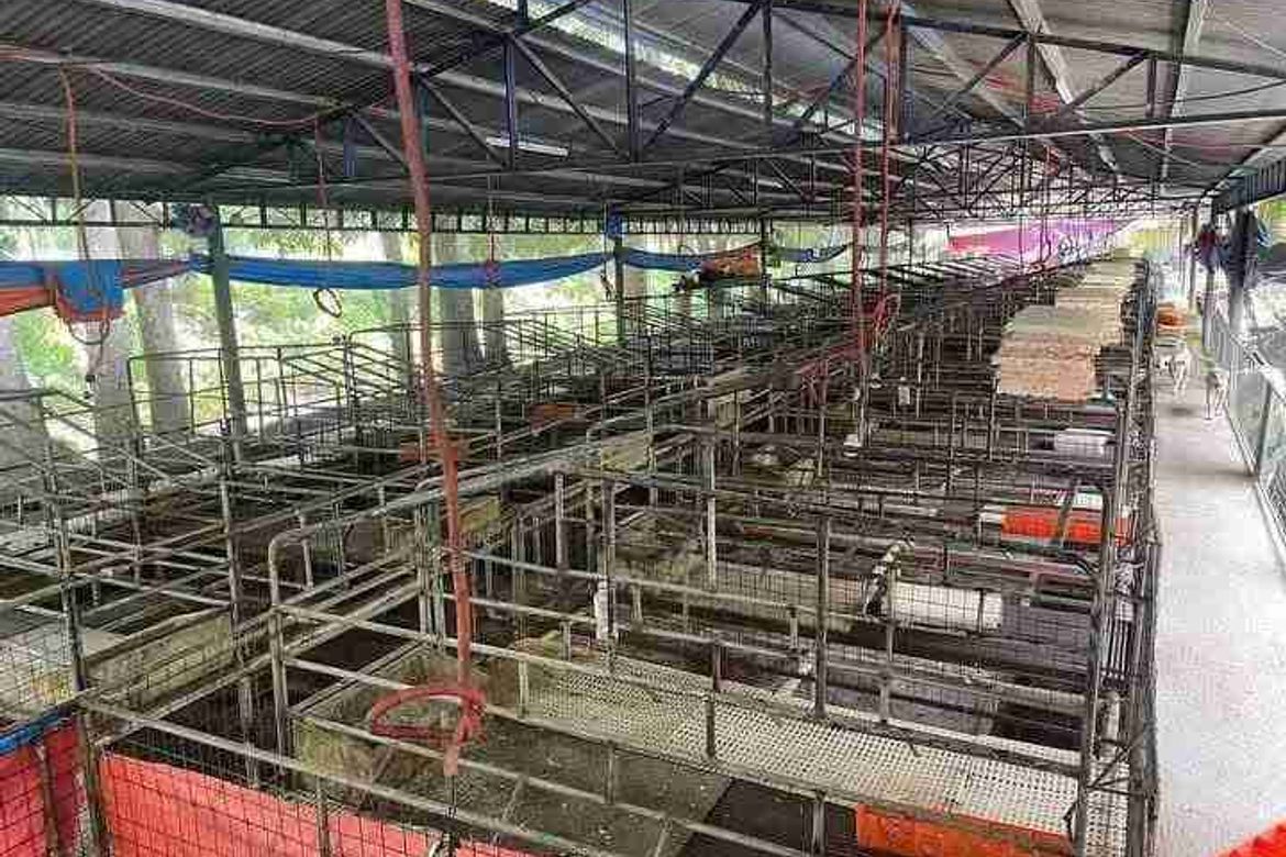 Land for Sale in Poblacion, San Juan, Batangas – photo 4