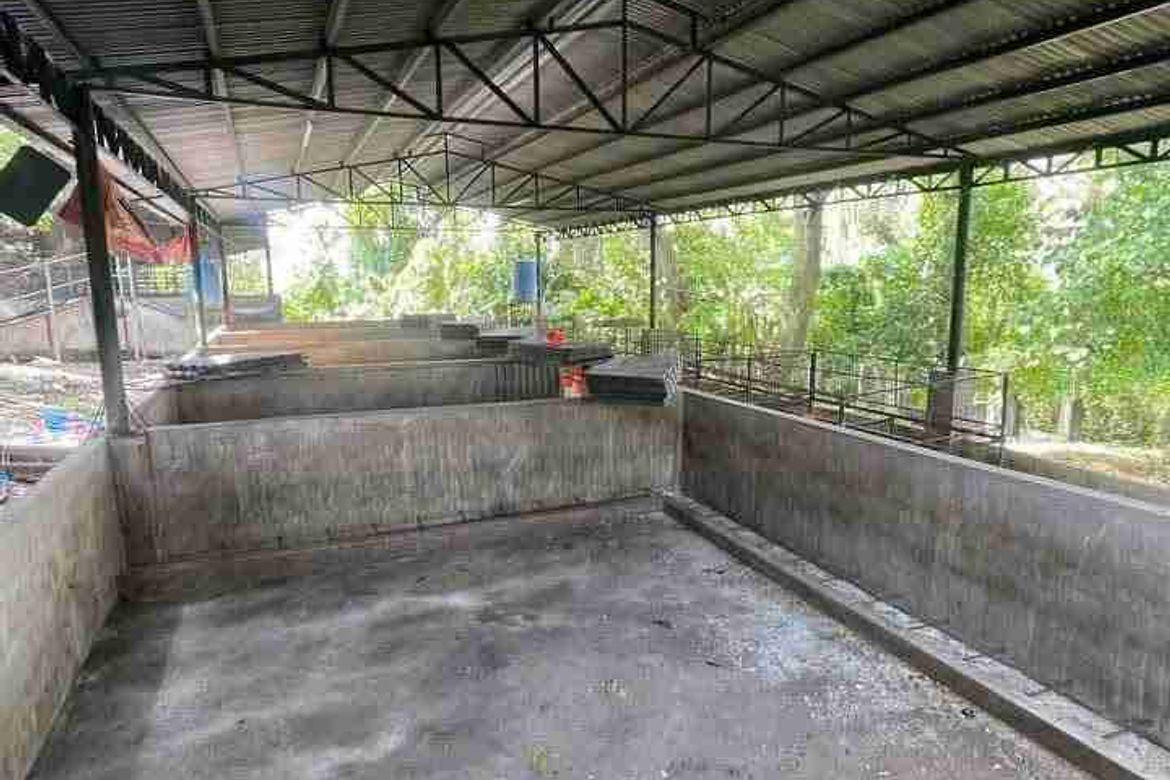 Land for Sale in Poblacion, San Juan, Batangas – photo 6