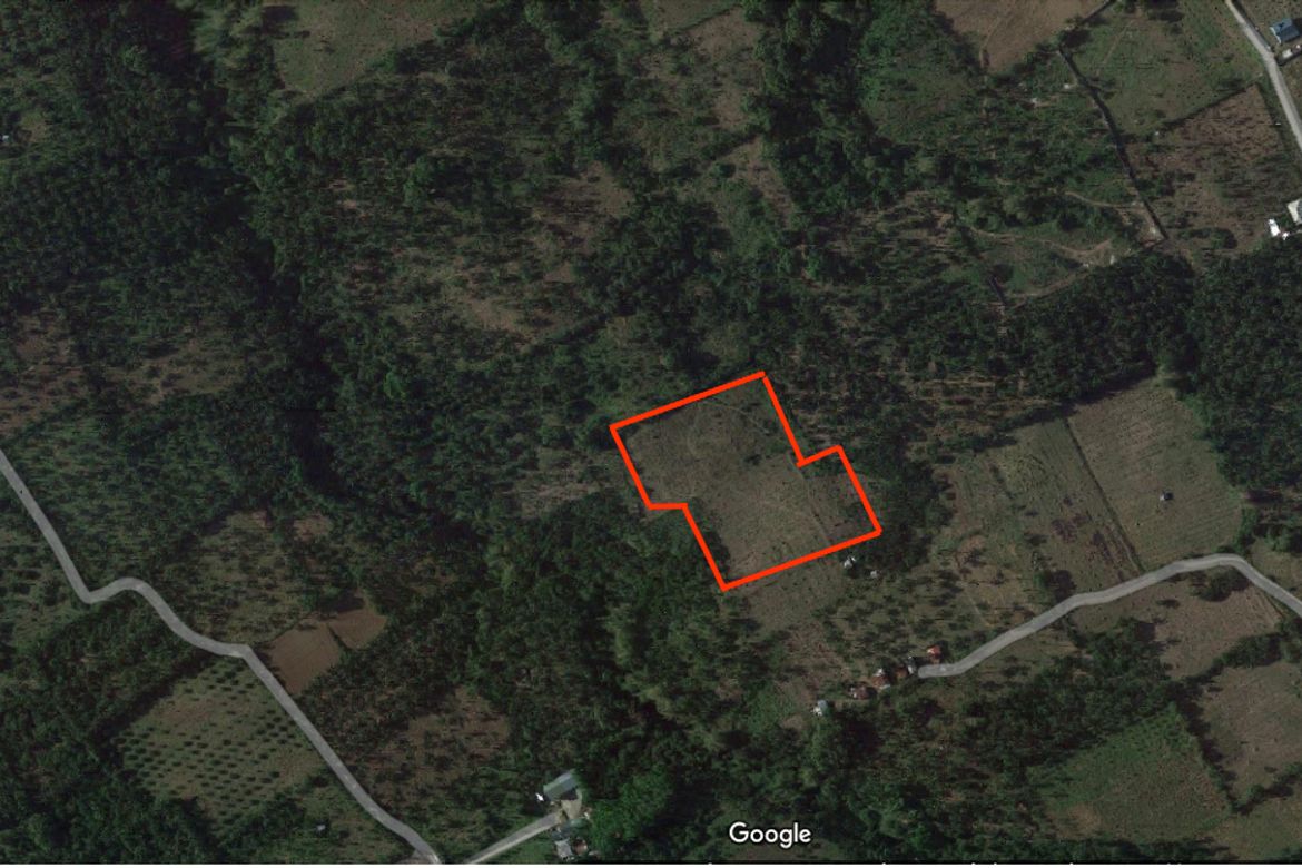 Land for Sale in Poblacion, San Juan, Batangas – photo 2