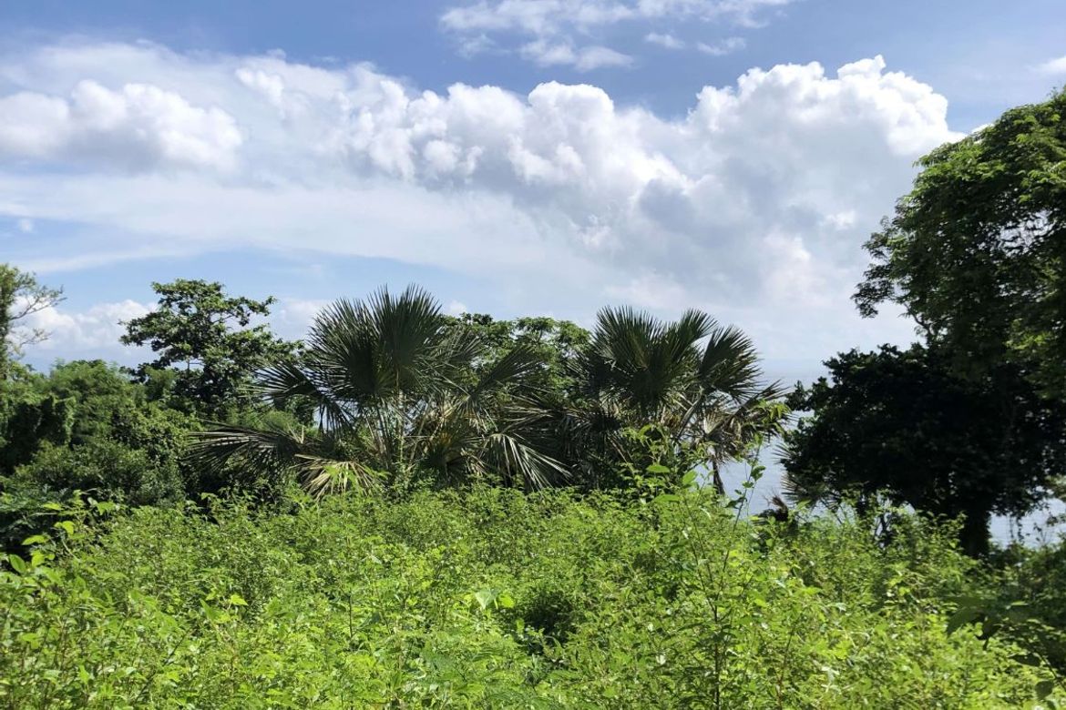 Land for Sale in Poblacion, San Juan, Batangas