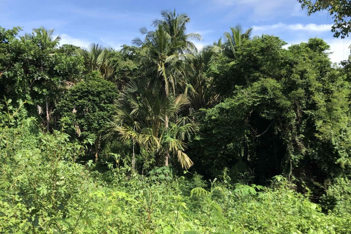 Land for Sale in Poblacion, San Juan, Batangas – photo 2