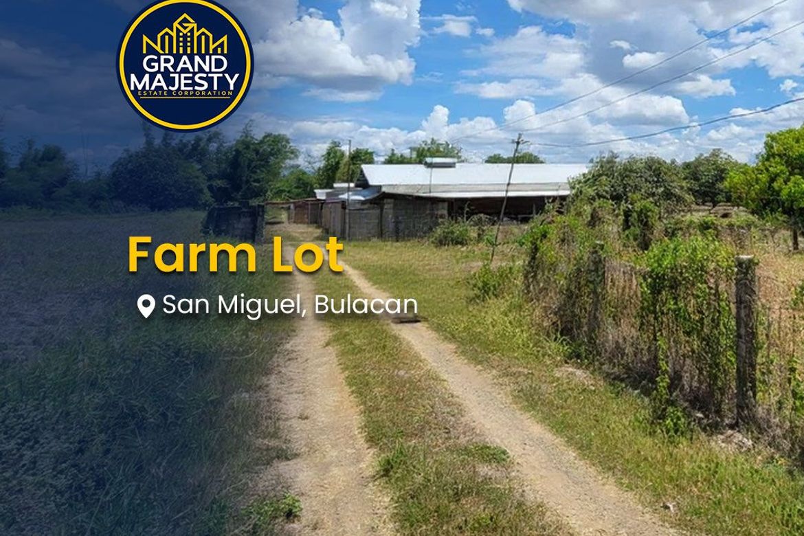 Land for Sale in Poblacion, San Miguel, Bulacan