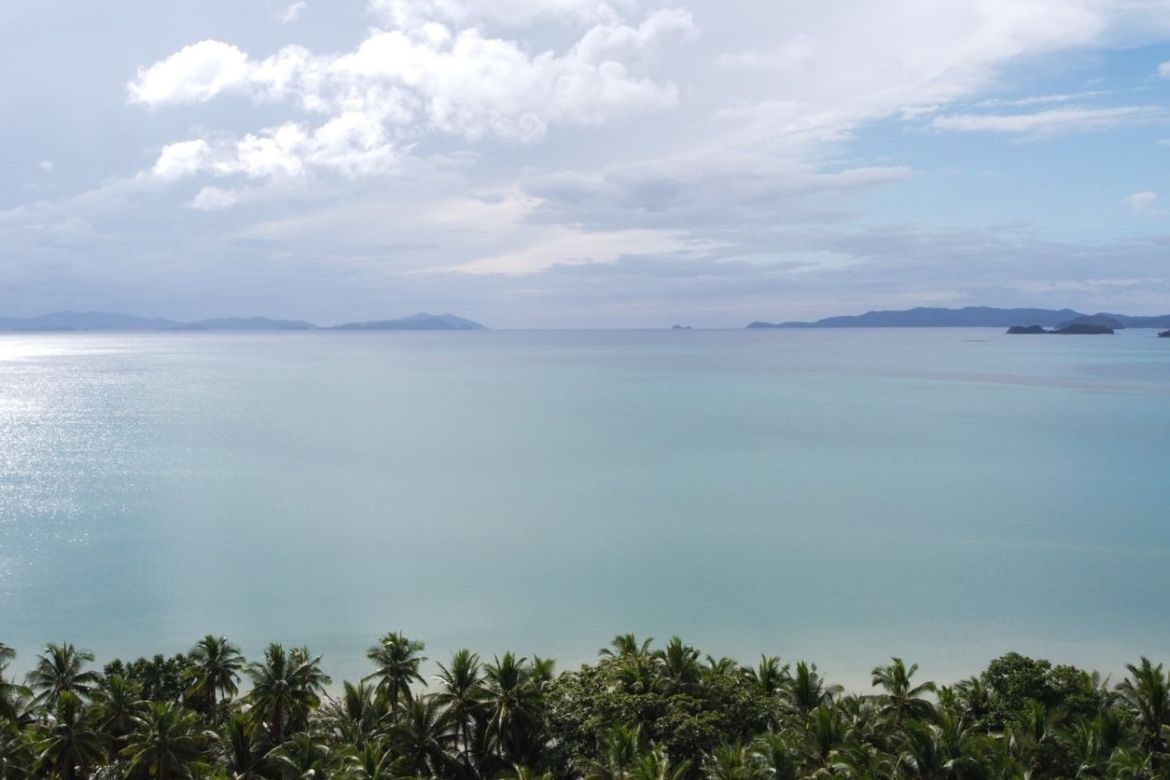Land for Sale in Poblacion, San Vicente, Palawan