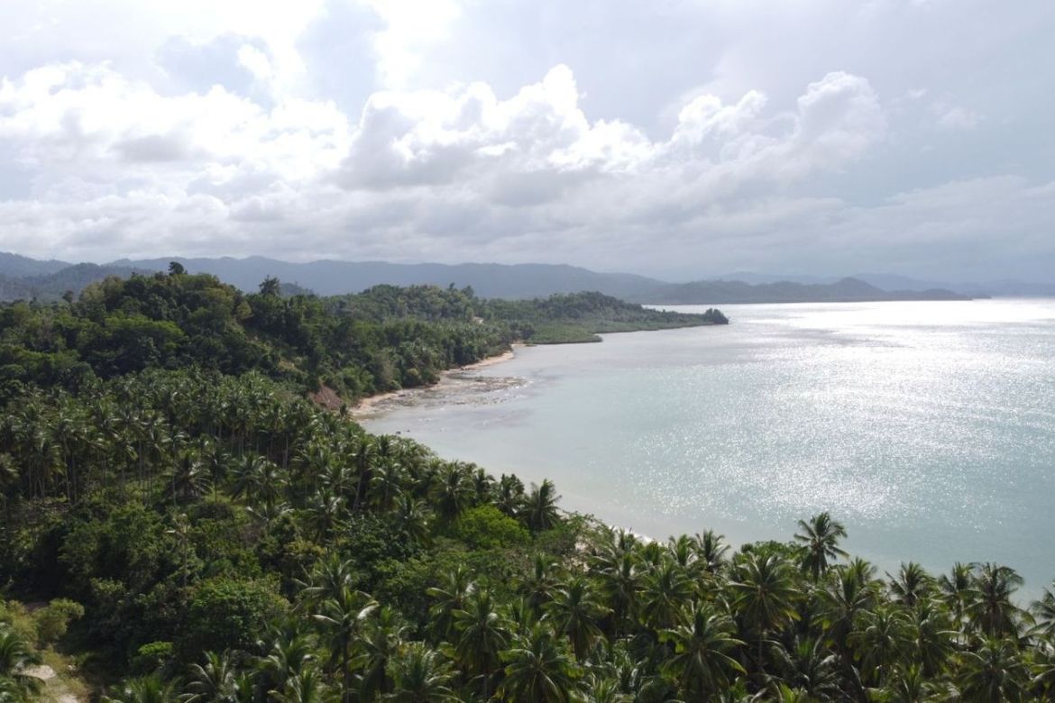 Land for Sale in Poblacion, San Vicente, Palawan – photo 2