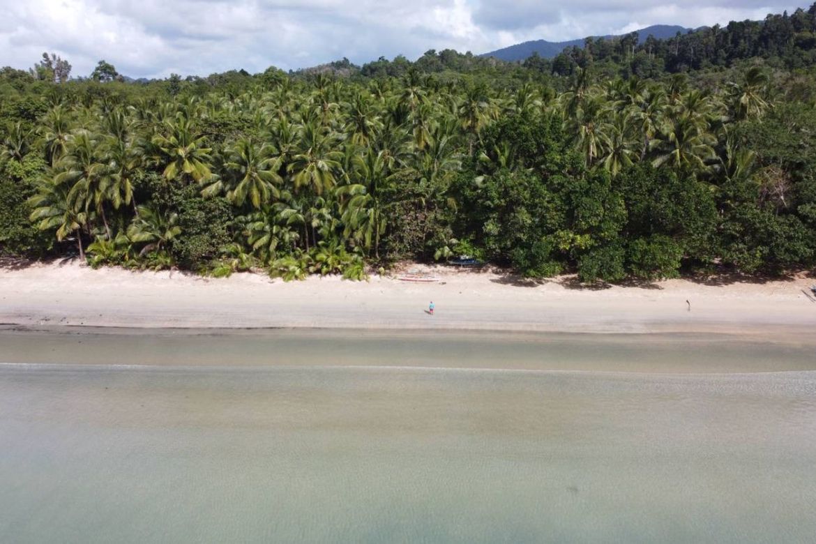 Land for Sale in Poblacion, San Vicente, Palawan – photo 3