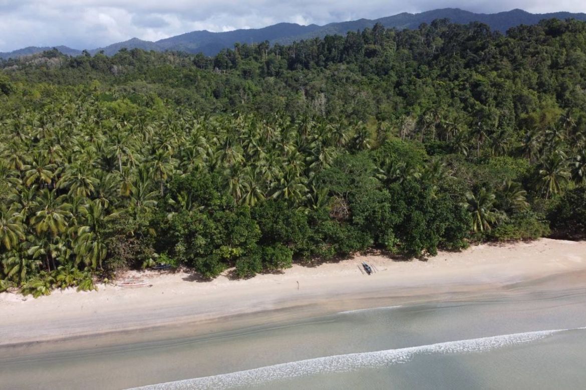 Land for Sale in Poblacion, San Vicente, Palawan – photo 5