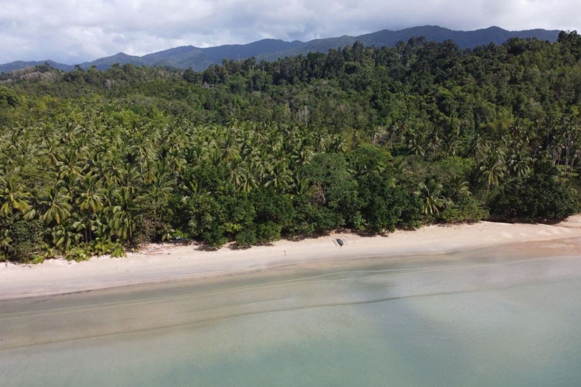 Land for Sale in Poblacion, San Vicente, Palawan – photo 6