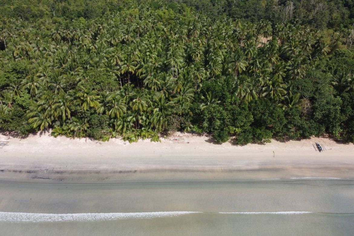 Land for Sale in Poblacion, San Vicente, Palawan – photo 7
