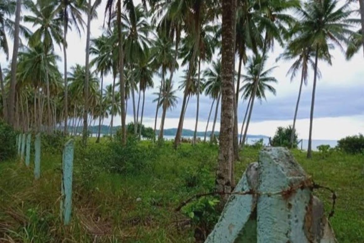 Land for Sale in Poblacion, San Vicente, Palawan – photo 3