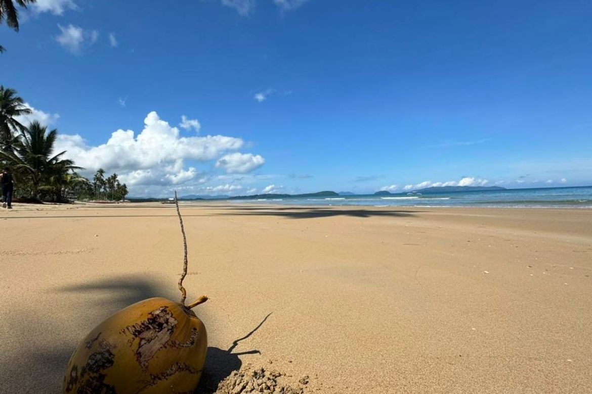 Land for Sale in Poblacion, San Vicente, Palawan