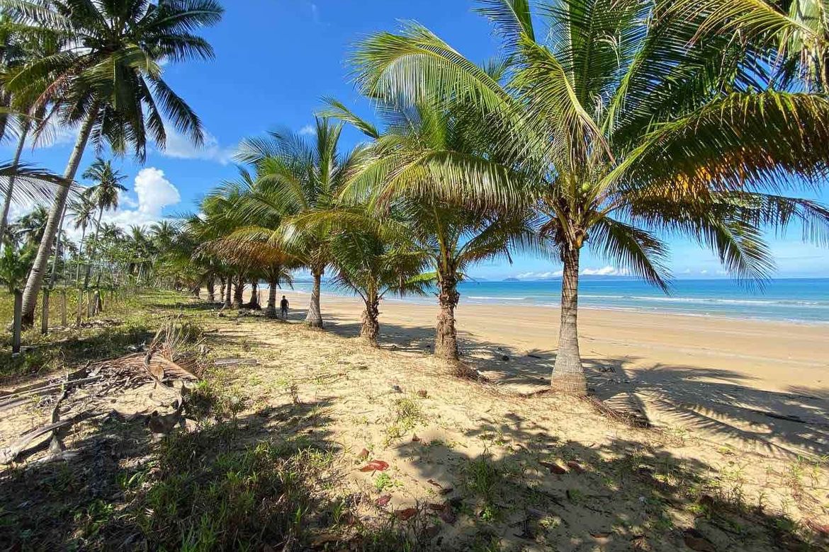 Land for Sale in Poblacion, San Vicente, Palawan – photo 2