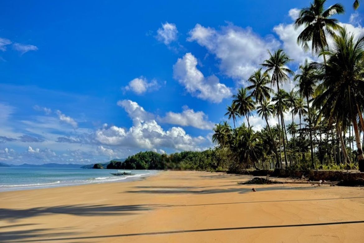 Land for Sale in Poblacion, San Vicente, Palawan – photo 3