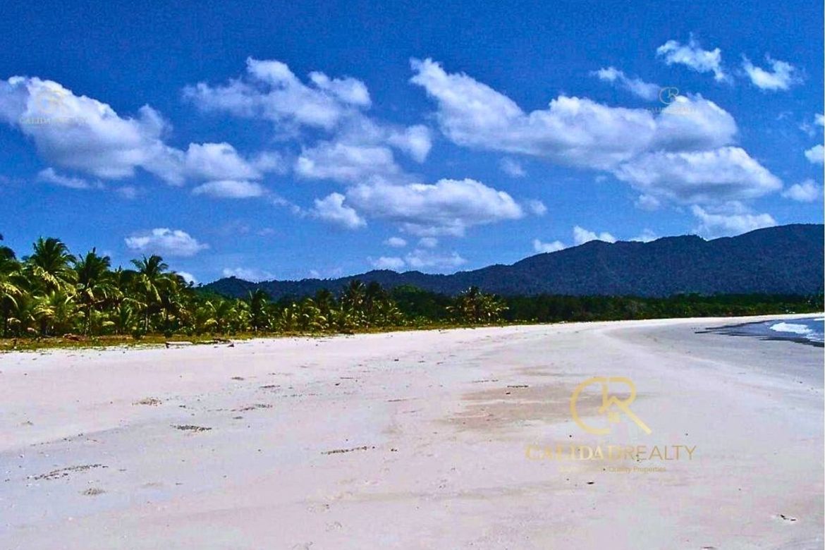 Land for Sale in Poblacion, San Vicente, Palawan
